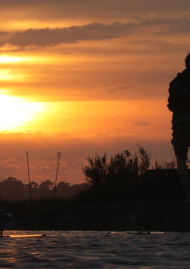 Poster of YOUNG RIFLES