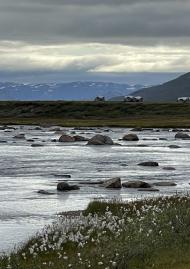 Affiche de GROENLAND, LES OMBLES DU CAMP NORTH