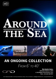 Poster of Around the sea