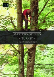 Affiche de Deux rivaux pour un trésor (Turquie)