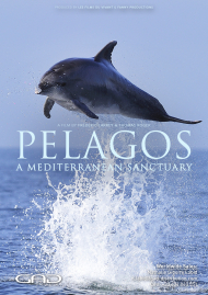 Poster of Pelagos, a Mediterranean sanctuary