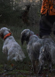 Affiche de Chasseurs de migrateurs : les plaisirs simples de Millevaches