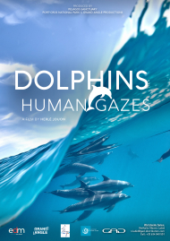 Poster of Dolphins: Human gazes