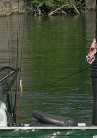 Affiche de « PÊCHÉ » DE JEUNESSE