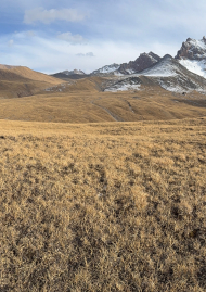 Poster of Marco Polo, at the end of the effort…