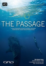 Poster of The passage