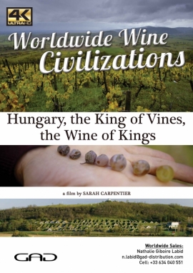 Poster of The king of vines, the wine of kings (Hungary)