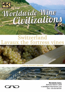 Affiche de Lavaux, les vignes forteresses (Suisse)