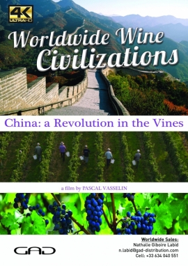 Affiche de Révolution dans les vignes (Chine)