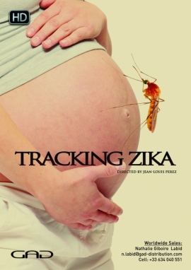 Affiche de Sur le fil du Zika