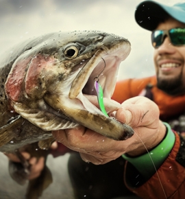 Poster of Fishing