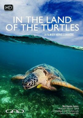 Affiche de Au pays des tortues