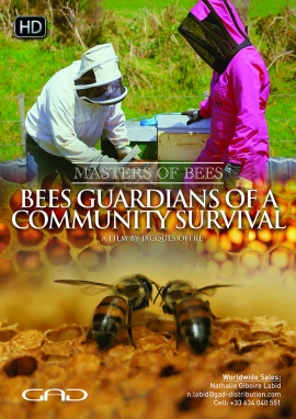 Poster of Bees guardians of a community survival (New Zeeland/Cameroon)