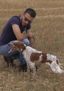 Affiche de De chiens en chasses