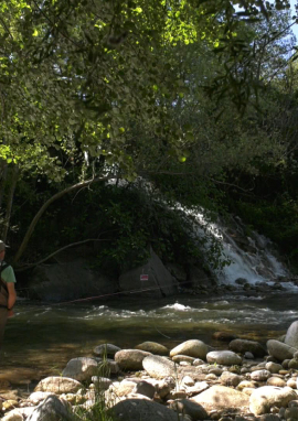 Poster of Fly fishing, a Pyrenean Odyssey