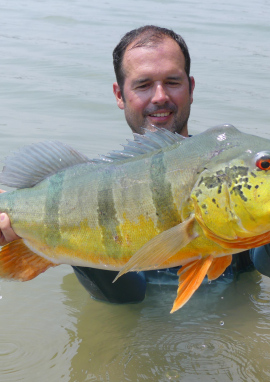 Affiche de Colombie, expédition Peacock bass géants