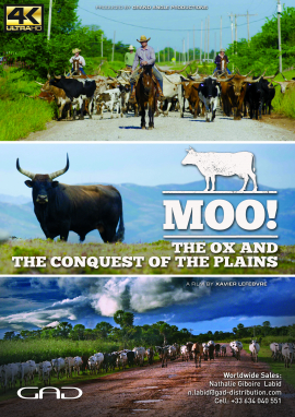 Poster of The Ox and the conquest of the plains (Turkey, Portugal, United States, France)