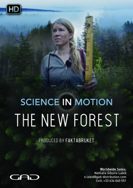 Affiche de The new forest