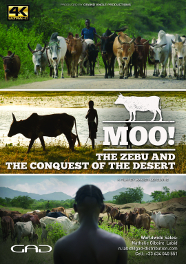 Poster of The zebu and the conquest of the desert (India, Brazil, Switzerland, Ethiopia)