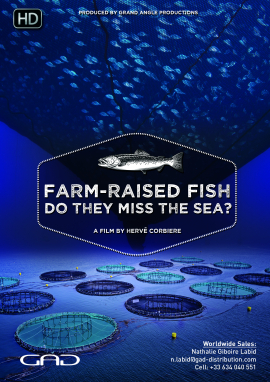 Affiche de Les poissons d’élevage regrettent-ils la mer ?