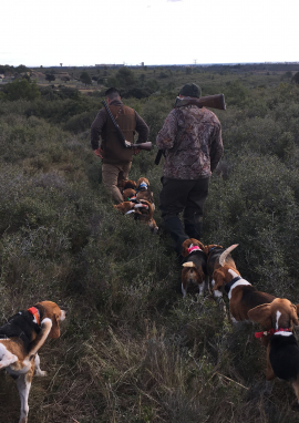 Poster of Rabbit hunt