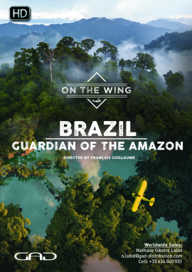 Affiche de Le gardien de l’Amazonie (Brésil)