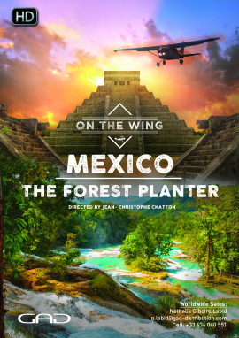 Poster of The forest planter (Mexico)