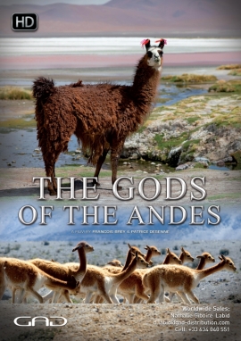 Poster of The Gods of the Andes