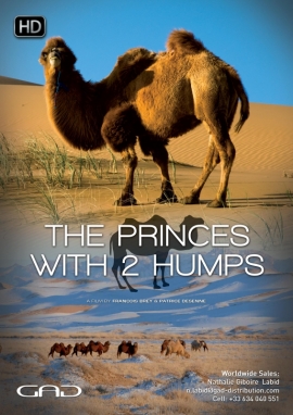 Poster of The Princes with 2 humps