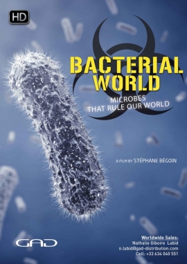 Poster of Bacterial World - Microbes that rule our world