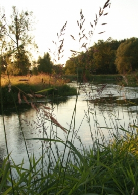 Affiche de Complicité au bord de l’eau