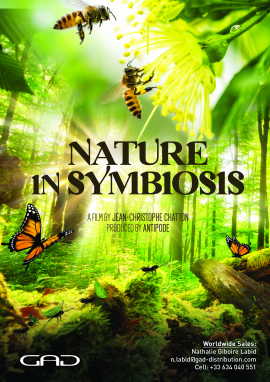 Affiche de La Nature en symbiose