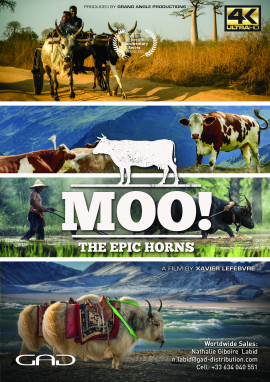 Poster of Moo! The epic horns