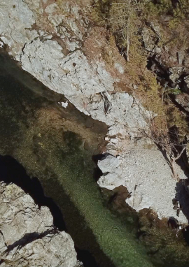 Poster of TROUT OF THE CEVENNES