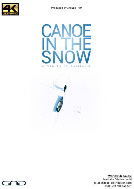 Poster of Canoe in the snow