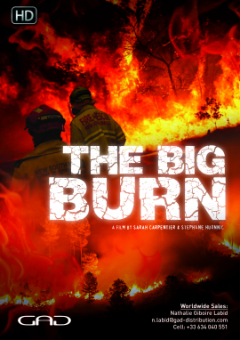 Poster of The Big Burn