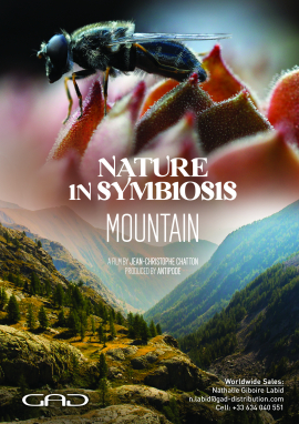 Poster of Nature in symbiosis: the mountain