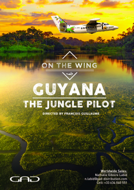 Affiche de Le pilote de la jungle (Guyane)