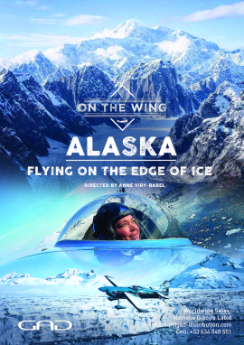 Flying on the edge of ice (Alaska)