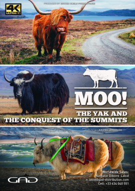 Affiche de Le Yak à la conquête des sommets (Inde, Suisse)