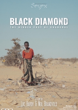 Poster of Black Diamond - The Hidden cost of charcoal