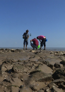 Poster of Dany, the island and the sea - fishing on Ré