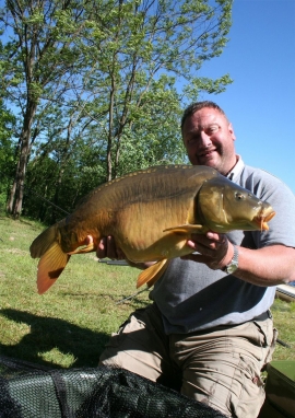 Poster of Carp investigation