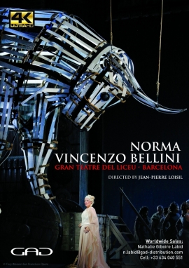 Affiche de Norma de Vincenzo Bellini - Gran Teatre del Liceu