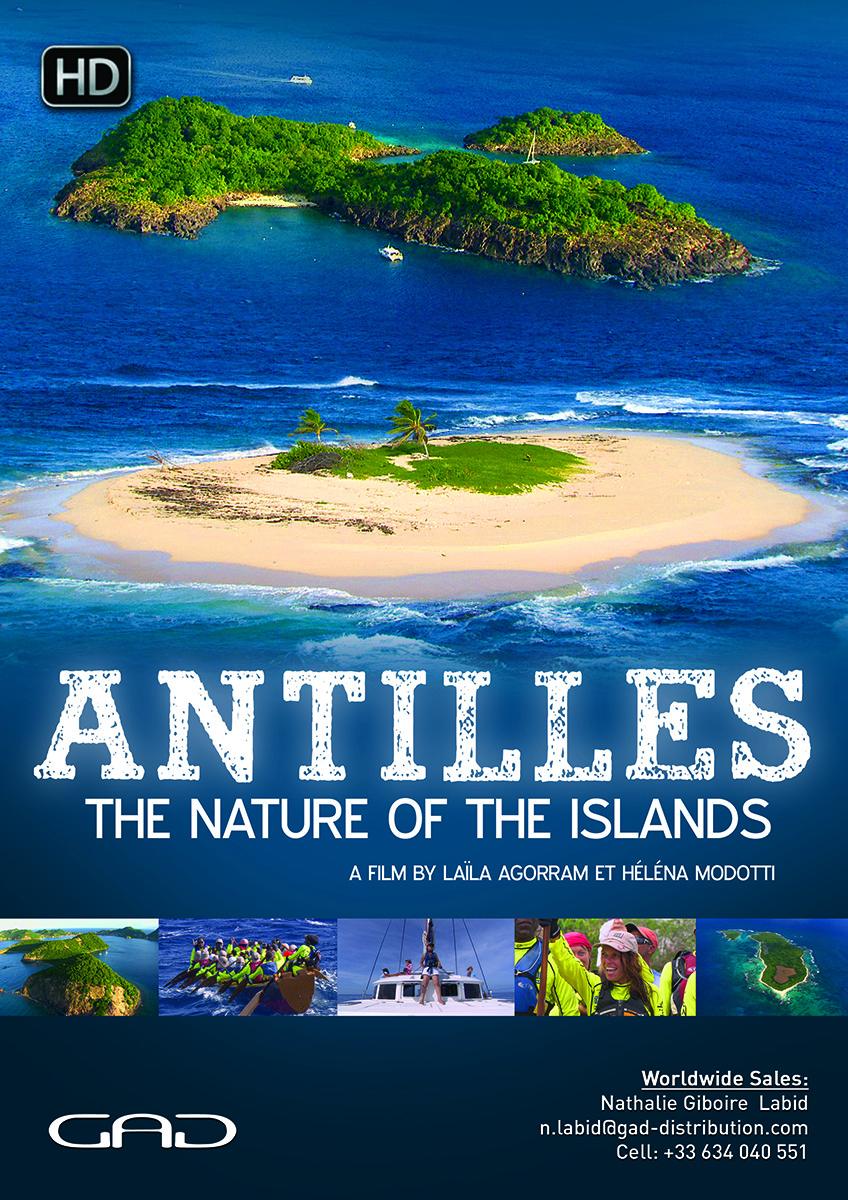 Antilles The Nature Of The Islands 110 Nature Gad